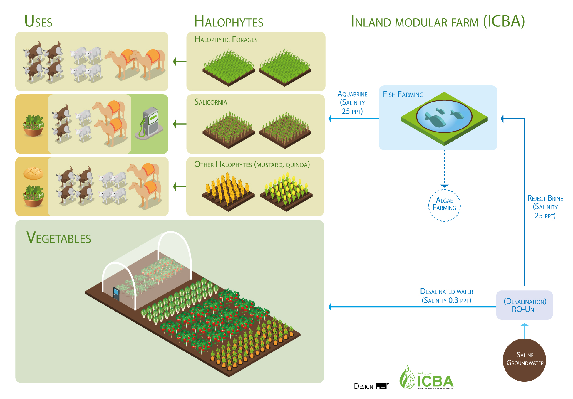 Figure 1. Integrated farm developed at ICBA’s experimental station (inland modular farm) ©ICBA