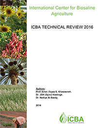 ICBA Technical Review 2016