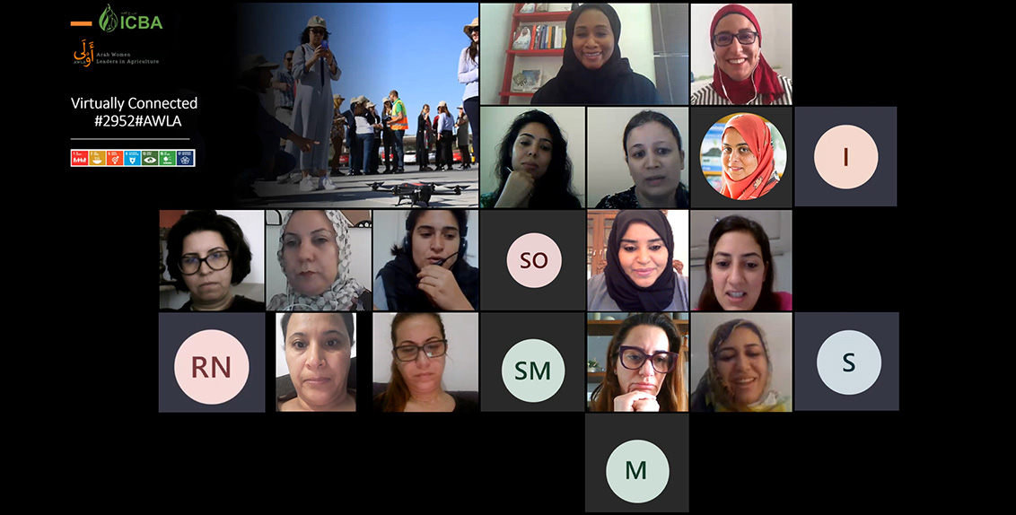 Icba Launches Virtual Alumnae Network To Support Arab Women Researchers