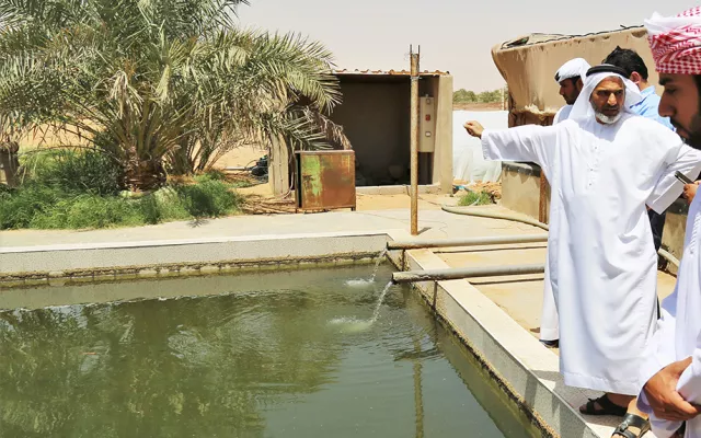 As part of its continued knowledge-sharing efforts, the International Center for Biosaline Agriculture (ICBA) recently organized a four-day training course on integrated agri-aquaculture systems for desert environments for a diverse group of UAE-based researchers, extension staff and farmers.