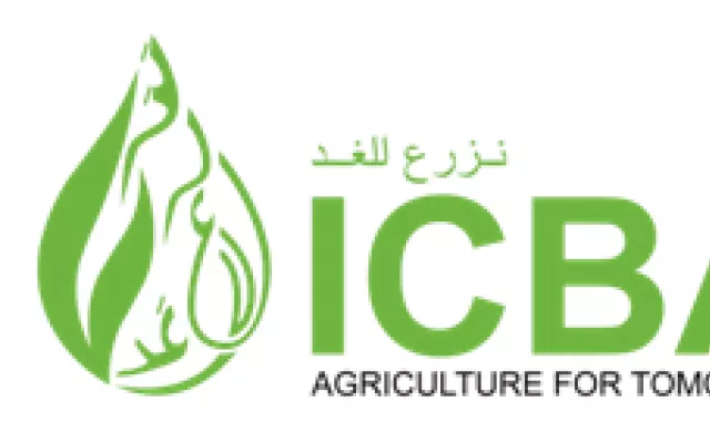 Collaboration between University of Sydney and the International Center for Biosaline Agriculture (ICBA)