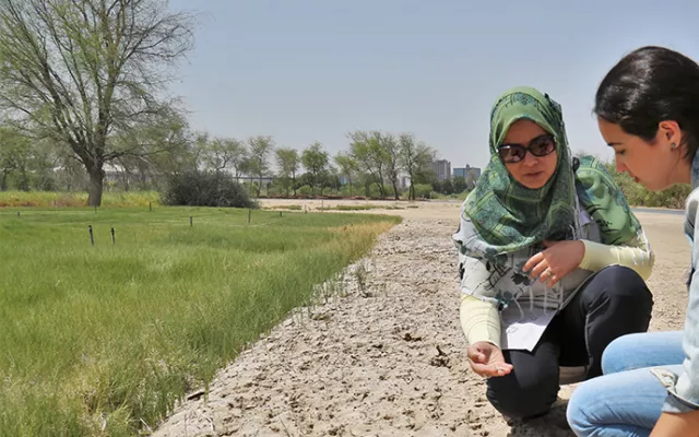 Imane El Majidi, a student from Morocco, received support and guidance from ICBA scientists on her social project involving quinoa to empower women in the region of Marrakesh.