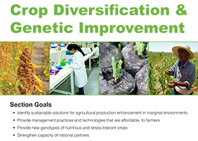 Crop Diversification & Genetic Improvement Section | International ...