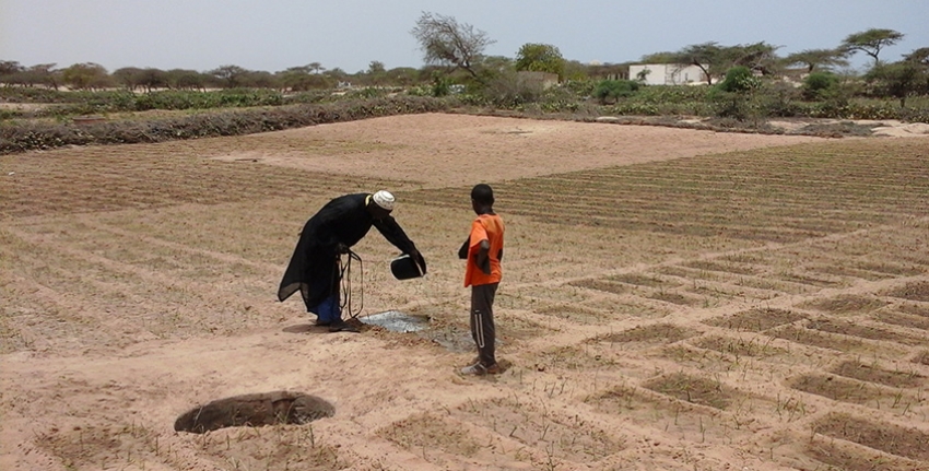 Scaling Up Small Scale Irrigation Technologies For Improving - 