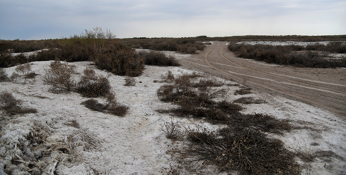 Uzbekistan to host international Aral Sea science, innovation forum ...