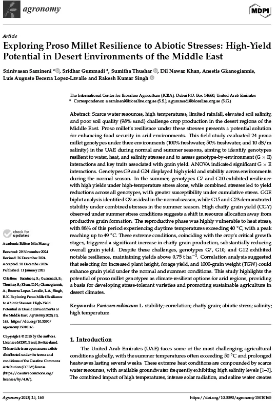 Exploring Proso Millet Resilience to Abiotic Stresses: High-Yield Potential in Desert Environments of the Middle East