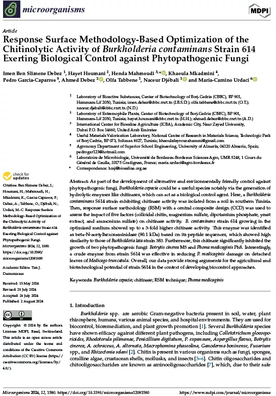 Response Surface Methodology-Based Optimization of the Chitinolytic Activity of Burkholderia contaminans Strain 614 Exerting Biological Control against Phytopathogenic Fungi