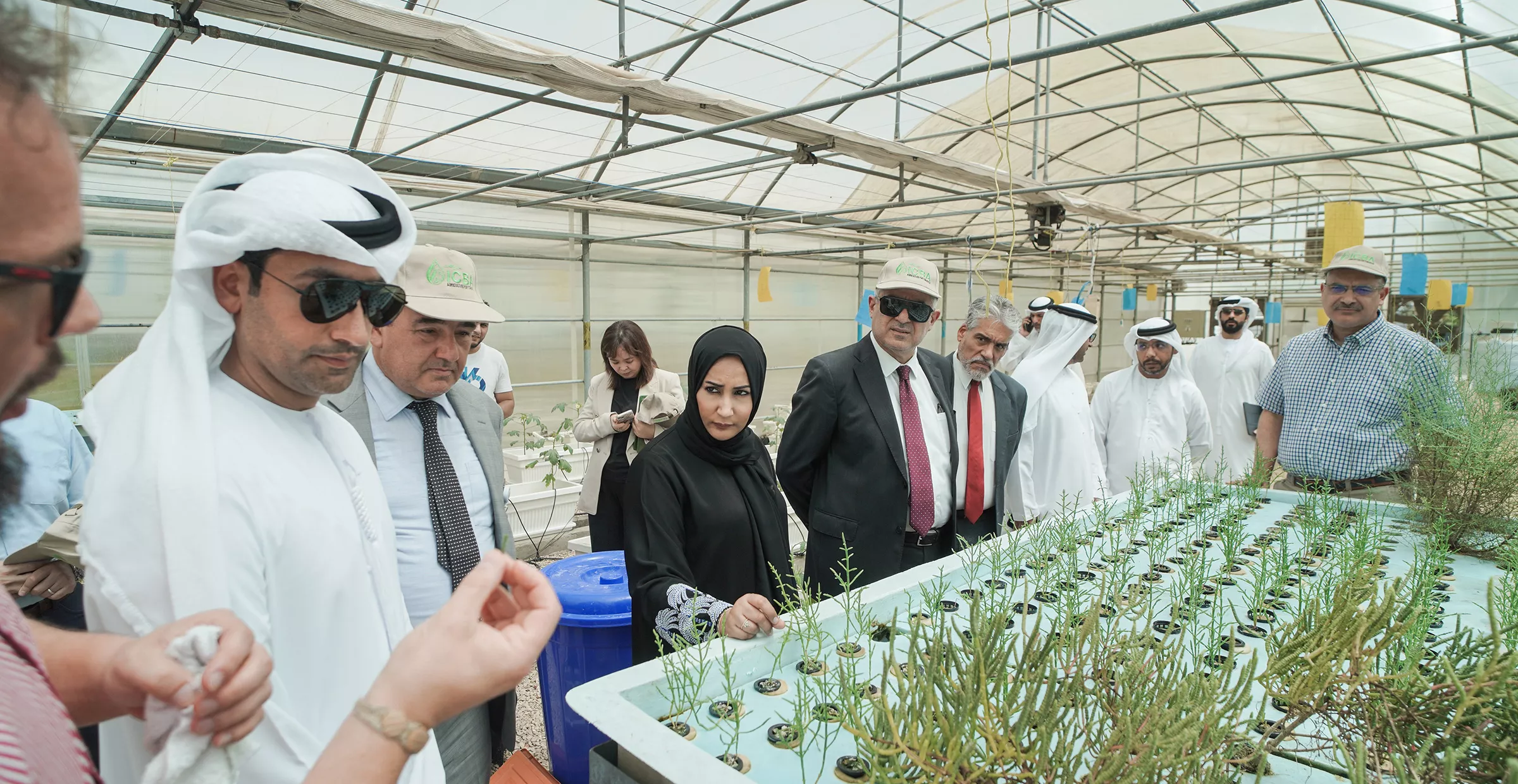 This singing ceremony came after a tour for Her Excellency Dr. Shaikha Al Dhaheri at ICBA headquarter to view the latest agricultural innovations and technologies, and to learn about the center’s initiatives and projects in the field of modern biosaline agriculture.